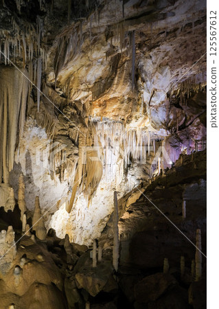 [Minamidaito Island] Hoshino Cave (limestone cave) 125567612