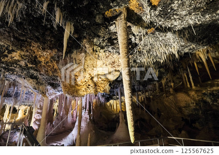 [Minamidaito Island] Hoshino Cave (limestone cave) 125567625