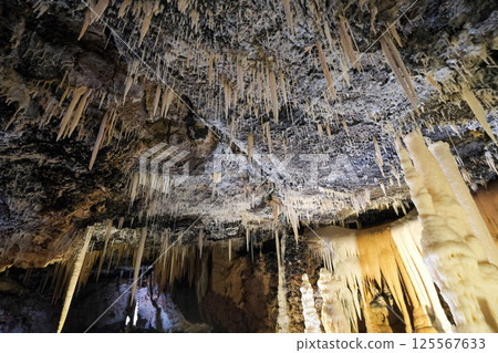 [Minamidaito Island] Hoshino Cave (limestone cave) 125567633