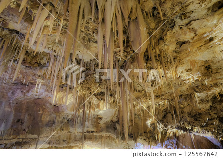[Minamidaito Island] Hoshino Cave (limestone cave) 125567642
