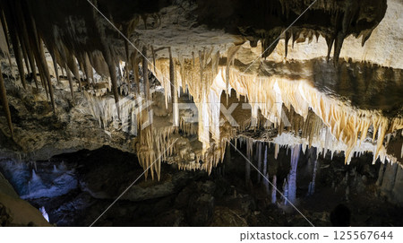 [Minamidaito Island] Hoshino Cave (limestone cave) 125567644
