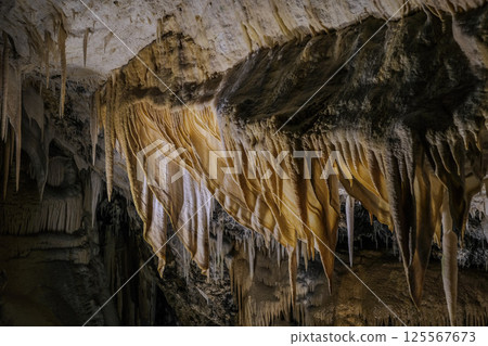 [Minamidaito Island] Hoshino Cave (limestone cave) 125567673