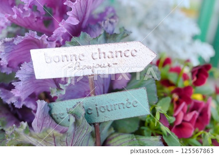 French signs and seasonal flowers decorate the garden French signs and seasonal flowers decorate the garden 125567863