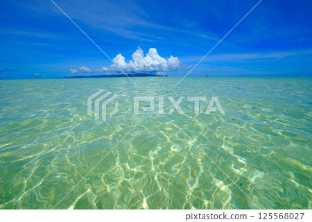 Transparent sea Transparent sea 125568027