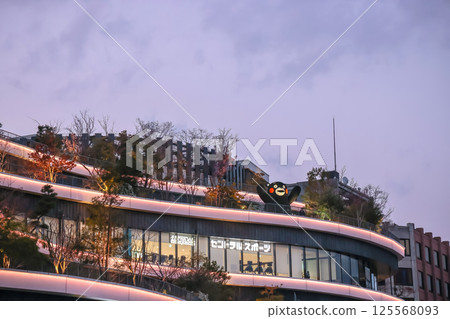 March 24 2025 a Modern Shopping Mall with Illuminated Facade March 24 2025 a Modern Shopping Mall with Illuminated Facade 125568093