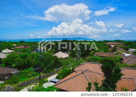 Taketomijima 125568235