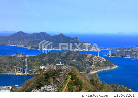 [Ehime Prefecture] Yumeshima Kaido (Iwaki Bridge and Ikina Bridge) seen from Mount Sekizen with cherry blossoms in bloom 125568261