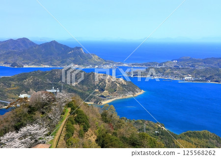 [Ehime Prefecture] Yumeshima Kaido (Ikina Bridge) seen from Mount Sekizen with cherry blossoms in bloom 125568262