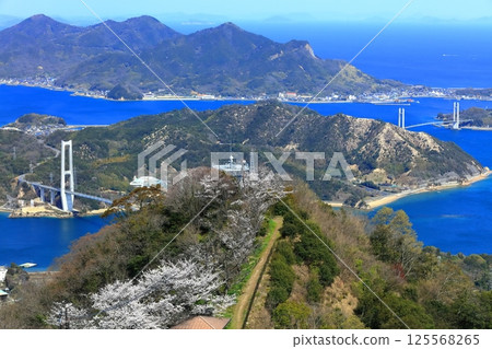 [愛媛郡] 從積善山眺望的夢島街道（岩木橋、生名橋），櫻花盛開 125568265
