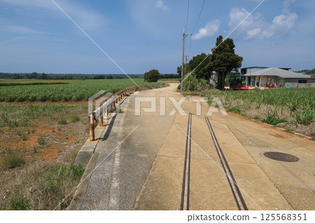 [Minamidaito Island] Remains of the Sugar Train Tracks 125568351