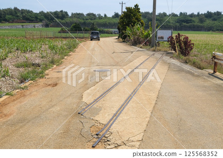 [Minamidaito Island] Remains of the Sugar Train Tracks 125568352