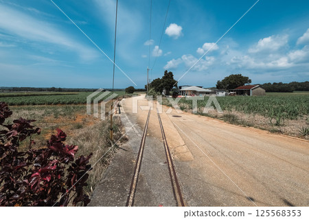 [Minamidaito Island] Remains of the Sugar Train Tracks 125568353