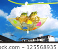 After the rain 125568935