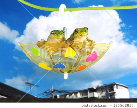 雨後 雨後 125568935