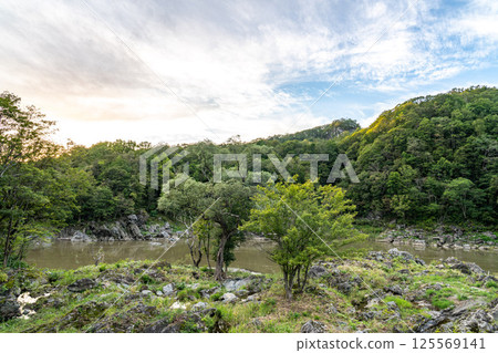 神居古潭的河流與森林風光 125569141