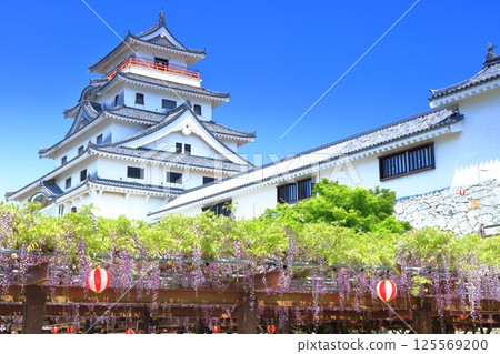 【佐賀縣】晴朗天氣下的唐津城樓與盛開的紫藤花架 125569200