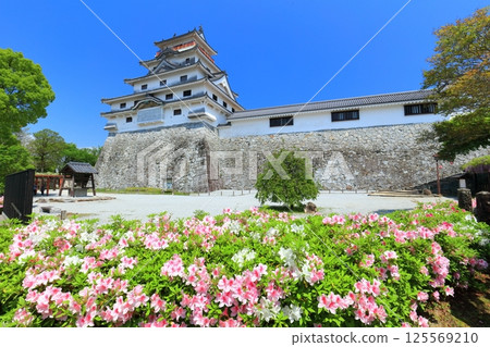 [Saga Prefecture] Karatsu Castle tower on a clear day and azalea in full bloom 125569210