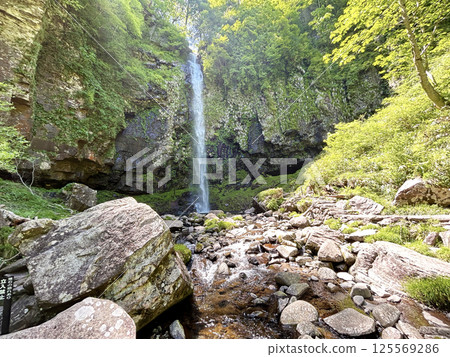 Falls surrounded by green Falls surrounded by green 125569286
