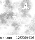 Pale monochrome blurred background 125569436
