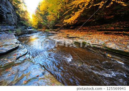 a stream in a canyon in autumn 125569941