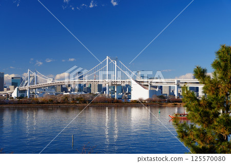 Tokyo Bay: Rainbow Bridge and coastal scenery Tokyo Bay: Rainbow Bridge and coastal scenery 125570080