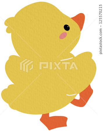 duck, cartoon, chick 125570215