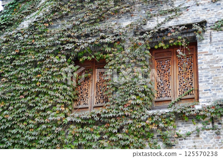 Photo of two traditional Chinese style windows on a brick wall covered with vines Photo of two traditional Chinese style windows on a brick wall covered with vines 125570238