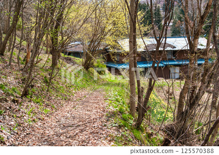 山路上的花瓣 山路上的花瓣 125570388