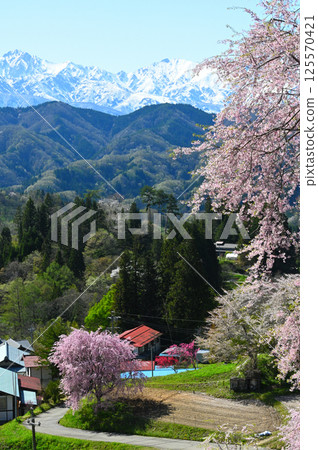 春天來到了山村 125570421