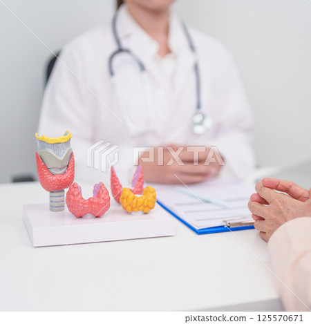Elderly Patient consulting and Diagnosis with Doctor to Thyroid disease. Anatomy Thyroid model for Hyperthyroidism, Hypothyroidism, Hashimoto Thyroiditis, Thyroid Tumor and Cancer, Papillary Carcinoma Elderly Patient consulting and Diagnosis with Doctor to Thyroid disease. Anatomy Thyroid model for Hyperthyroidism, Hypothyroidism, Hashimoto Thyroiditis, Thyroid Tumor and Cancer, Papillary Carcinoma 125570671