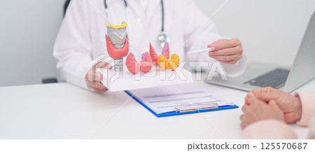 Elderly Patient consulting and Diagnosis with Doctor to Thyroid disease. Anatomy Thyroid model for Hyperthyroidism, Hypothyroidism, Hashimoto Thyroiditis, Thyroid Tumor and Cancer, Papillary Carcinoma 125570687