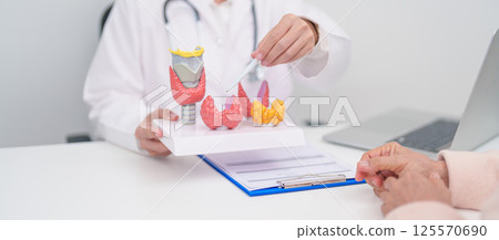 Elderly Patient consulting and Diagnosis with Doctor to Thyroid disease. Anatomy Thyroid model for Hyperthyroidism, Hypothyroidism, Hashimoto Thyroiditis, Thyroid Tumor and Cancer, Papillary Carcinoma Elderly Patient consulting and Diagnosis with Doctor to Thyroid disease. Anatomy Thyroid model for Hyperthyroidism, Hypothyroidism, Hashimoto Thyroiditis, Thyroid Tumor and Cancer, Papillary Carcinoma 125570690