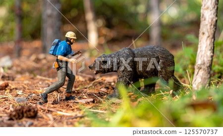 圖片縮圖 2：一名登山者在森林中與一隻熊一起行動 125570737