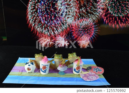 Fireworks Day 125570992