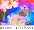 Little Queen 125570994