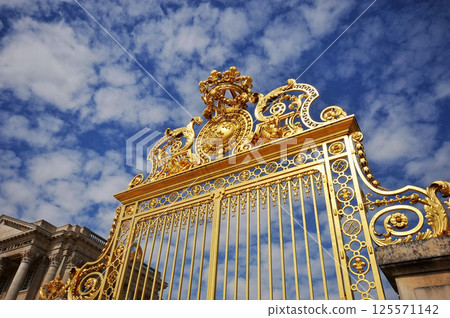 Photo of the golden gate of the palace of Versailles in Paris, France 125571142
