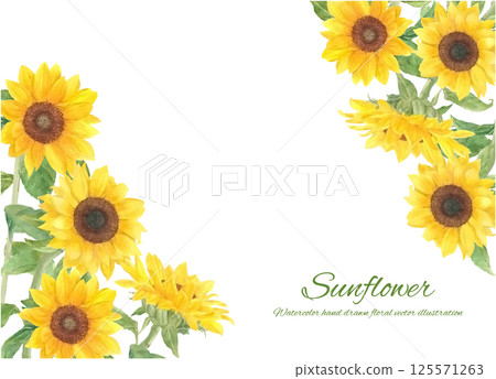 Decorative frame of sunflowers painted by watercolor 125571263