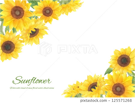 Vector decorative frame of sunflowers painted in watercolor 125571268