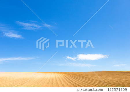 A simple landscape of Biei, Hokkaido, with a refreshing blue sky, clouds and vast fields 125571309