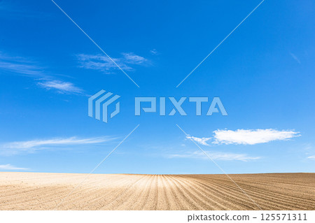 A simple landscape of Biei, Hokkaido, with a refreshing blue sky, clouds and vast fields 125571311