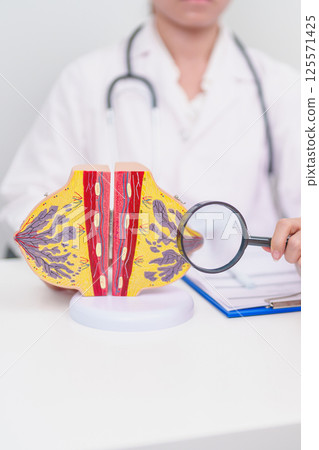 woman Patient consultation with doctor for Breast Augmentation Surgery, October Breast Cancer Awareness month, implant, Diagnosis, Beauty woman enlargement and medical healthcare concept 125571425