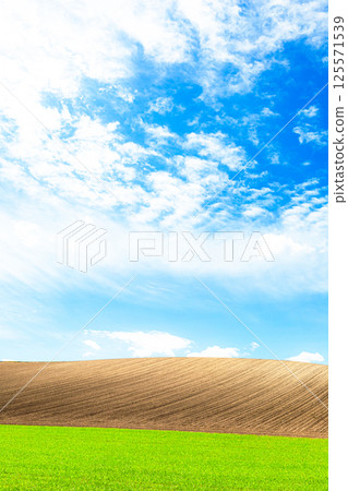 A simple landscape of Biei, Hokkaido, with a refreshing blue sky, clouds and vast fields 125571539
