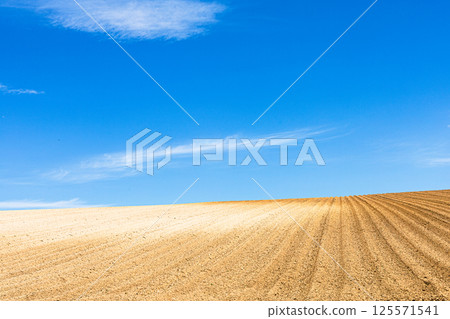A simple landscape of Biei, Hokkaido, with a refreshing blue sky, clouds and vast fields A simple landscape of Biei, Hokkaido, with a refreshing blue sky, clouds and vast fields 125571541