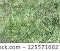 Grunge green textured background with a natural rough surface and organic cracks. Perfect for eco designs, creative projects, packaging, branding, scrapbooking 125571682