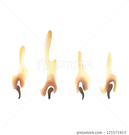 A set of burning candle lights with wicks. Decor for creating a romantic atmosphere and decorating vintage and Gothic interiors. Handmade isolated illustration on a white background 125571923