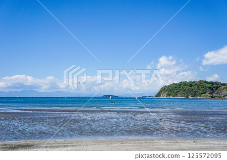 神奈川縣逗子海灘 125572095