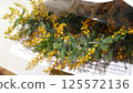 含羞草花束 125572136