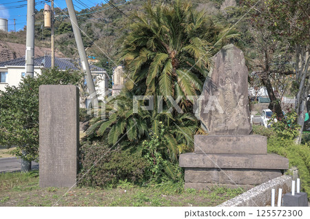 March 23 2025 Historic Stone Monuments Surrounded by Lush Foliage 125572300