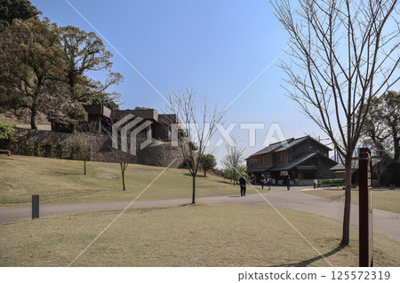 March 23 2025 Peaceful Park Scene With Open Area, Trees, Buildings March 23 2025 Peaceful Park Scene With Open Area, Trees, Buildings 125572319