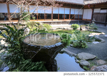 March 23 2025 Serene Japanese Garden with Green Pond and Traditional March 23 2025 Serene Japanese Garden with Green Pond and Traditional 125572371
